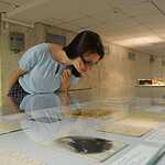 Открылась выставка Айвазовского в Третьяковской галерее