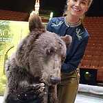 В Москву приедут цирковые артисты со всего мира