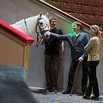 В Москву приедут цирковые артисты со всего мира