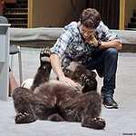 В Москву приедут цирковые артисты со всего мира