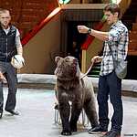 В Москву приедут цирковые артисты со всего мира