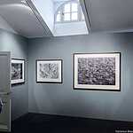 Себастио Сальгадо