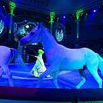 Новогодняя программа «Осторожно, дети!»