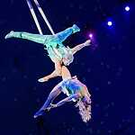 Новогодняя программа «Осторожно, дети!»