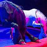 Новогодняя программа «Осторожно, дети!»