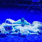 Новогодняя программа «Осторожно, дети!»