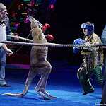 Новогодняя программа «Осторожно, дети!»