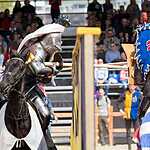 Турнир Святого Георгия