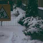 Зима вернула москвичам снежные долги