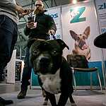 Blockchain&Bitcoin Conference