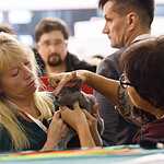 «Гран-При Royal Canin 2017»