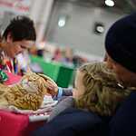 «Гран-При Royal Canin 2017»