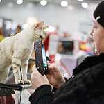 «Гран-При Royal Canin 2017»