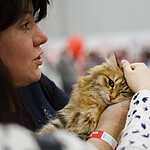 «Гран-При Royal Canin 2017»