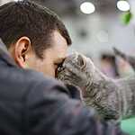 «Гран-При Royal Canin 2017»