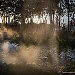 Парк «Зарядье»