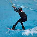 Вейкборд в Москве