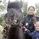 КСК «Измайлово»