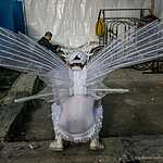 «Яркие люди»