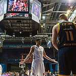 PAV_3077
