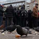 April 25, 2020, Moscow, Russia: people and birds.