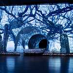 Рулетенбург, реж.Евгения Тодорова