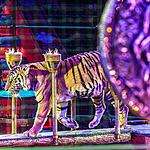 «Королевский цирк»
