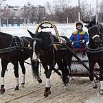 Чемпионат «Московская зима» на ипподроме