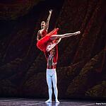 Благотворительный концерт звёзд оперы и балета Мариинского театра
