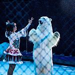 Спектакль «Снежная королева» в Большом Московском цирке